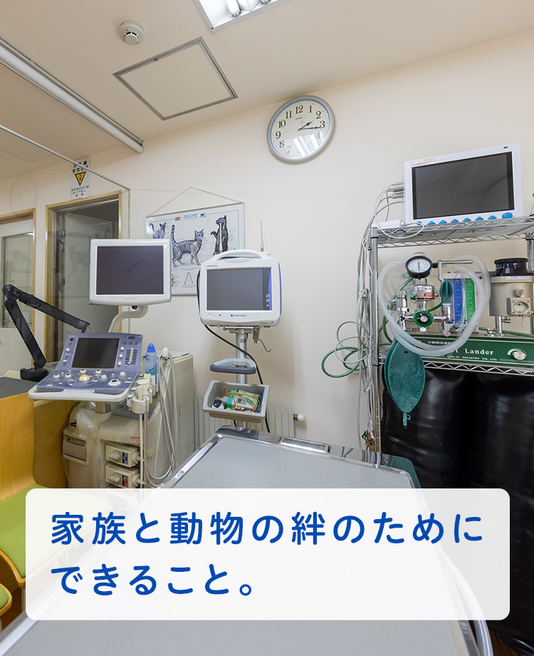 もっともっと、ずっと一緒にいるために。皆さまと動物たちの愛おしい大切な時間が1分1秒でも長く、充実したものになるようにサポートいたします。