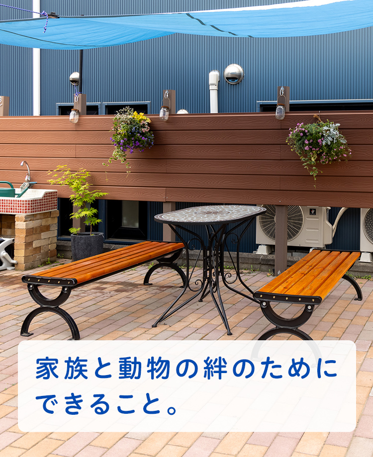 もっともっと、ずっと一緒にいるために。皆さまと動物たちの愛おしい大切な時間が1分1秒でも長く、充実したものになるようにサポートいたします。